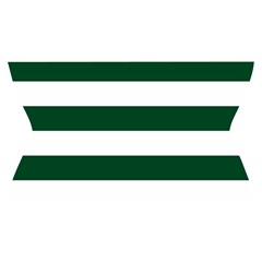 Horizontal Stripes Waistband Front