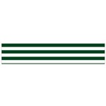 Horizontal Stripes - White and Forest Green Flano Scarf (Small)