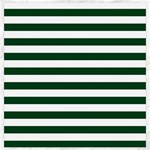Horizontal Stripes - White and Forest Green Canvas 20  x 20 