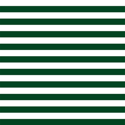 Horizontal Stripes 12 x12  Scrapbook Page - 1