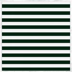 Horizontal Stripes - White and Deep Green Canvas 16  x 16 