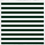 Horizontal Stripes - White and Deep Green Canvas 20  x 20 