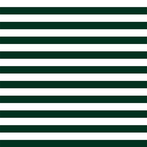 Horizontal Stripes 12 x12  Scrapbook Page - 1