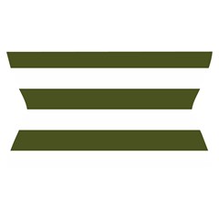 Horizontal Stripes Waistband Front