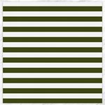 Horizontal Stripes - White and Army Green Canvas 12  x 12 