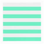 Horizontal Stripes - White and Aquamarine Medium Glasses Cloth