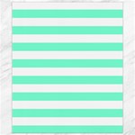 Horizontal Stripes - White and Aquamarine Canvas 8  x 10 