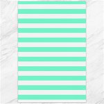 Horizontal Stripes - White and Aquamarine Canvas 24  x 36 
