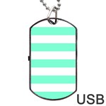 Horizontal Stripes - White and Aquamarine Dog Tag USB Flash (Two Sides)