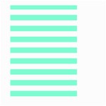 Horizontal Stripes - White and Aquamarine Large Garden Flag (Two Sides)