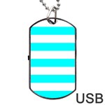 Horizontal Stripes - White and Aqua Cyan Dog Tag USB Flash (Two Sides)