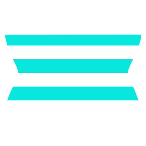 Horizontal Stripes Waistband Front