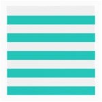 Horizontal Stripes - White and Turquoise Medium Glasses Cloth (2 Sides)