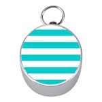Horizontal Stripes - White and Cyan Silver Compass (Mini)