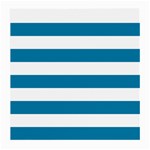 Horizontal Stripes - White and Cerulean Medium Glasses Cloth (2 Sides)