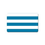 Horizontal Stripes - White and Cerulean Magnet (Name Card)