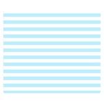 Horizontal Stripes - White and Light Blue Double Sided Flano Blanket (Small)