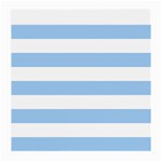Horizontal Stripes - White and Baby Blue Medium Glasses Cloth (2 Sides)