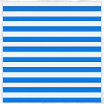 Horizontal Stripes - White and Dodger Blue Canvas 16  x 16 