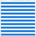 Horizontal Stripes - White and Dodger Blue Canvas 20  x 20 