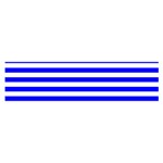 Horizontal Stripes - White and Blue Satin Scarf (Oblong)
