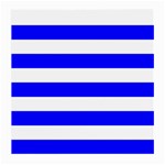 Horizontal Stripes - White and Blue Medium Glasses Cloth (2 Sides)