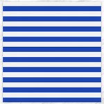 Horizontal Stripes - White and Cerulean Blue Canvas 12  x 12 