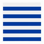 Horizontal Stripes - White and Cobalt Blue Medium Glasses Cloth (2 Sides)
