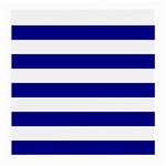 Horizontal Stripes - White and Dark Blue Medium Glasses Cloth