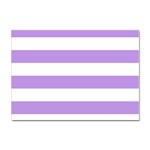 Horizontal Stripes - White and Bright Lavender Violet Sticker A4 (100 pack)