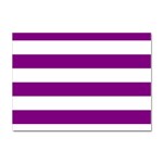 Horizontal Stripes - White and Purple Violet Sticker A4 (10 pack)