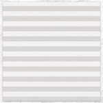 Horizontal Stripes - White and Platinum Gray Canvas 12  x 12 