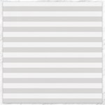 Horizontal Stripes - White and Platinum Gray Canvas 16  x 16 
