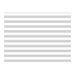 Horizontal Stripes - White and Light Gray Double Sided Flano Blanket (Mini)