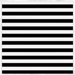 Horizontal Stripes - White and Black Canvas 12  x 12 