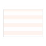 Horizontal Stripes - White and Seashell Sticker A4 (10 pack)