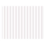 Vertical Stripes - White and Pastel Pink Double Sided Flano Blanket (Large)