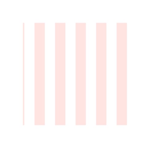 Vertical Stripes Front Inside