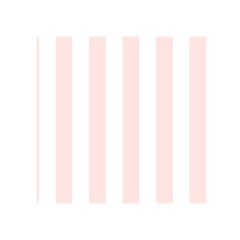 Vertical Stripes Front Inside