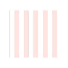 Vertical Stripes Back Inside