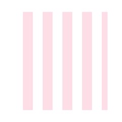 Vertical Stripes Back Cover