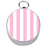 Vertical Stripes - White and Cotton Candy Pink Silver Compass