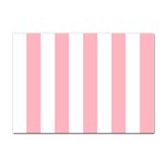 Vertical Stripes - White and Pastel Pink Sticker A4 (10 pack)