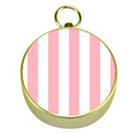 Vertical Stripes - White and Pastel Pink Gold Compass