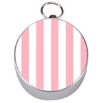 Vertical Stripes - White and Pastel Pink Silver Compass