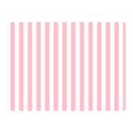 Vertical Stripes - White and Pink Double Sided Flano Blanket (Mini)