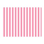 Vertical Stripes - White and Flamingo Pink Double Sided Flano Blanket (Mini)