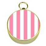 Vertical Stripes - White and Flamingo Pink Gold Compass
