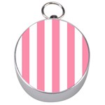Vertical Stripes - White and Flamingo Pink Silver Compass