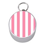 Vertical Stripes - White and Flamingo Pink Silver Compass (Mini)
